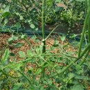 원순농장 이미지