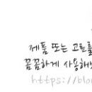 구쁘 농업회사법인 주식회사 이미지