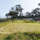 신안 우전 설레미 캠핑장 이미지