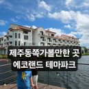 제주동쪽가볼만한곳 추천 에코랜드테마파크 제주가족여행 방문 후기