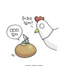 네모칸 이미지