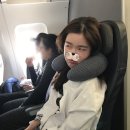 (주)성십자 | 미국 아리조나 피닉스 세도나(SEDONA), 볼텍스 기운이 느껴지는 곳. 이 세상 뷰가 아니야...