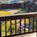 펫라밸 | [멍라밸] 대부도 애견독채펜션 후기