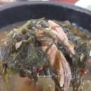 화연이네
