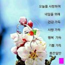 꽃향기 - 거제시 | 꽃향기
