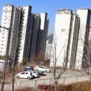 진해드림로드 | 진해 맨발걷기 편백나무 숲 진해 드림로드 황톳길 후기