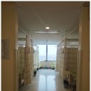 삼성의료기 | 삼성서울병원 암병원 고령 폐암 2기 6인실 중환자실준비물 박성용교수님 로봇수술 입원