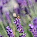 한독자동차정비 이미지