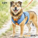 모정이, 쎄리를 추모하고 오공이를 그리워하는 걸개 그림 이미지