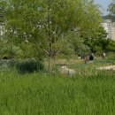 창포원 이미지