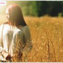 문화발전소 창공 이미지