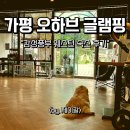 두리당구장 | 가평 오하브 글램핑, 웨스턴 숙소 후기 ft. 애견동반, 조식 포함