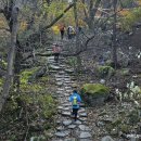 꽃향유 stay | 북한산 산행(2)