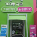 따뜻한 온누리 약국 | 대구 마운자로약국, 저렴한 곳을 찾는다면 창고형 약국 추천!!