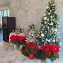 리베레스토랑 이미지