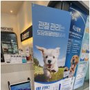 온마음동물병원 이미지