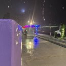 세븐일레븐 민락수변공원점 이미지