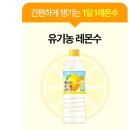 6즙 | 홀베리 유기농 레몬즙 대용량 PET 500ml 6개 솔직 후기