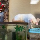 꿈의숲동물병원 이미지