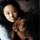 b.b.pet 이미지