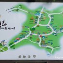 마비정농장 이미지