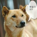 안녕하세요 이미지