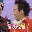 [펫바이트] 반려견 천연 벌레 퇴치제_산책하는 댕댕이 필수품