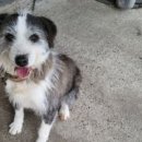 복순이공인중개사사무소 이미지