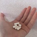 하이 동물병원 이미지