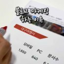 보라여행사 이미지