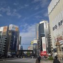 H·S관광호텔 | 💹 아키하바라 관광 후기 (피규어 쇼핑, 면세, 가는 법 총정리)