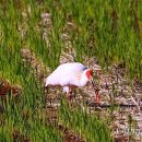 산촌에가면 이미지