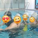 아이나래풀 이미지