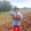 예은농장 이미지