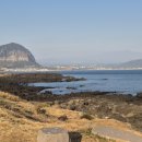 행정사 사무소 고래 이미지