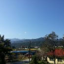 (주)아침여행사 이미지