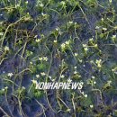 슬항2리 이미지