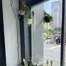 양덕동253 이미지