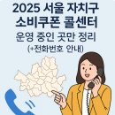 도봉-도봉-서울도봉-2155 | 2025 서울 자치구 소비쿠폰 콜센터 운영 중인 곳만 정리 (+전화번호 안내)