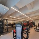 바디페이스 이미지