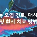 [IAEA 메뉴얼] 방사능 오염 경로, 대사 단계 및 환자 치료 방법 (주요부분 한글번역) 이미지