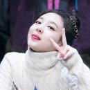빼꼼낼름 이미지