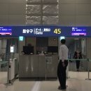 나오미야오 고양이호텔 | 마닐라에서 이별하기