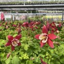 대림가든 이미지