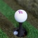 코끼리스크린골프 이미지