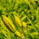 양천중앙도서관 이미지