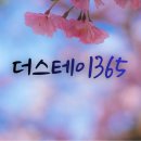 365스테이