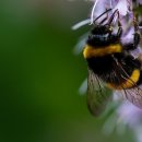 리컨스포츠재활트레이닝센터 이미지