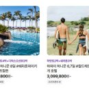 (주)베스트허니문 이미지