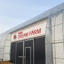 용농장 | 김포 근처 아이와 함께 가볼 만한 곳 딸기 따기 체험농장 추천 “파주딸기드림팜” 내돈내산 솔직후기